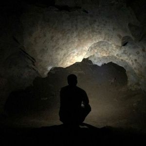 Meet your Posher, Henry